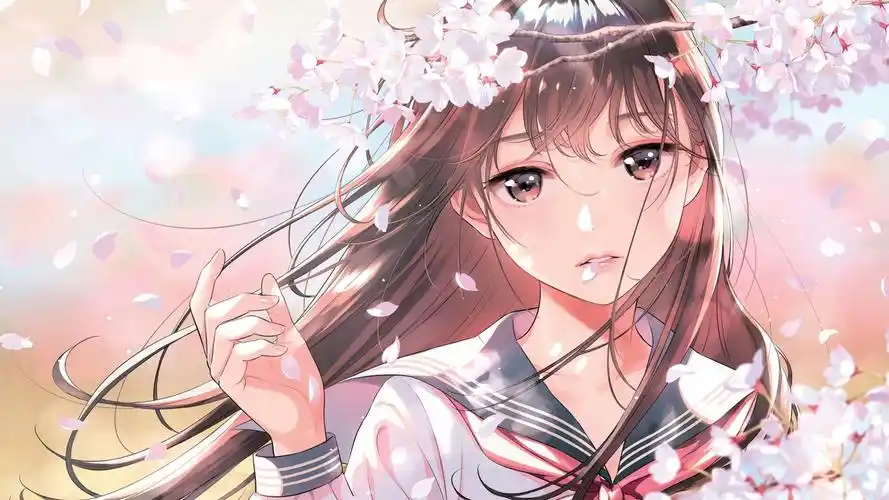 锐星影视 星云影展